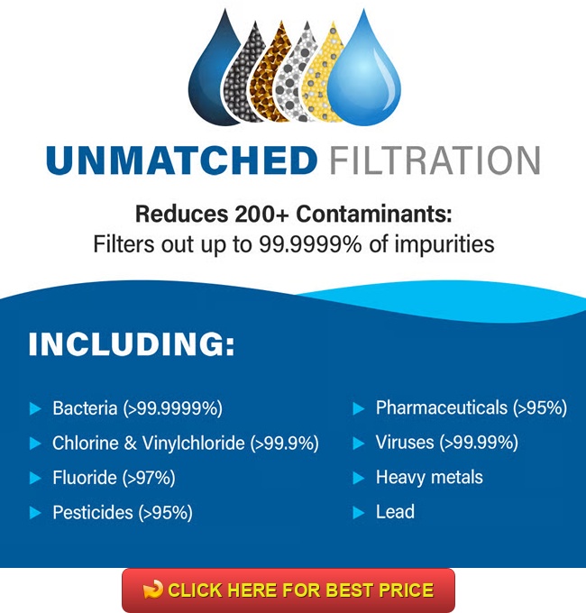 Alexapure Pro Water Filter Reviews | Reliable Emergency Filtration